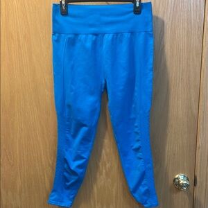 Fabletics Blue Leggings